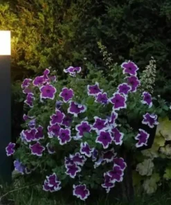 Czarna lampa ogrodowa, na żarówkę E27 CB-MAX 1000 BL z serii CUBE MAX | Kaja Ośw*Sklep Kaja Fashion