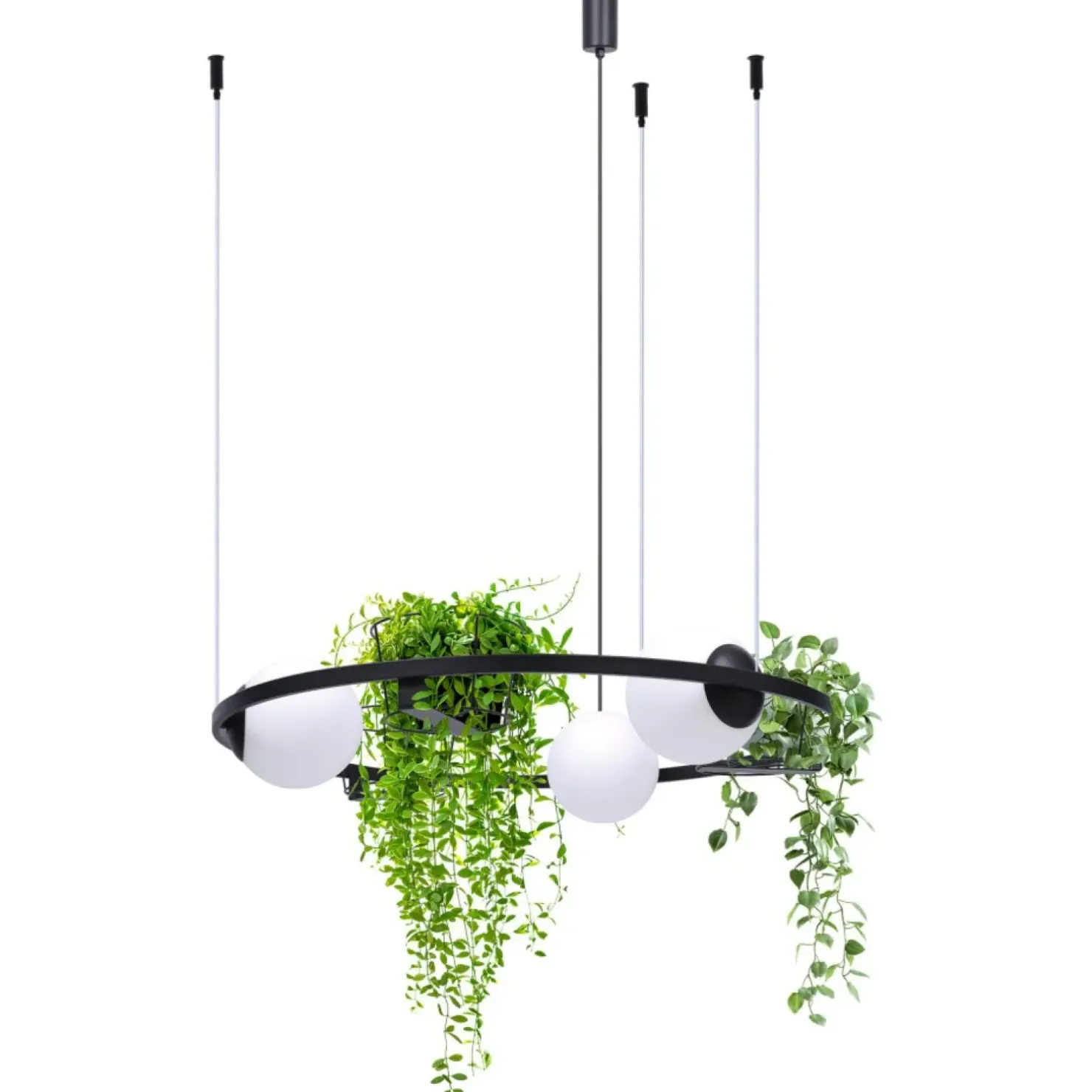 Cheap Sklep Kaja Niezwykle dekoracyjna lampa wisząca, kwietnik 5005 z serii PLANT