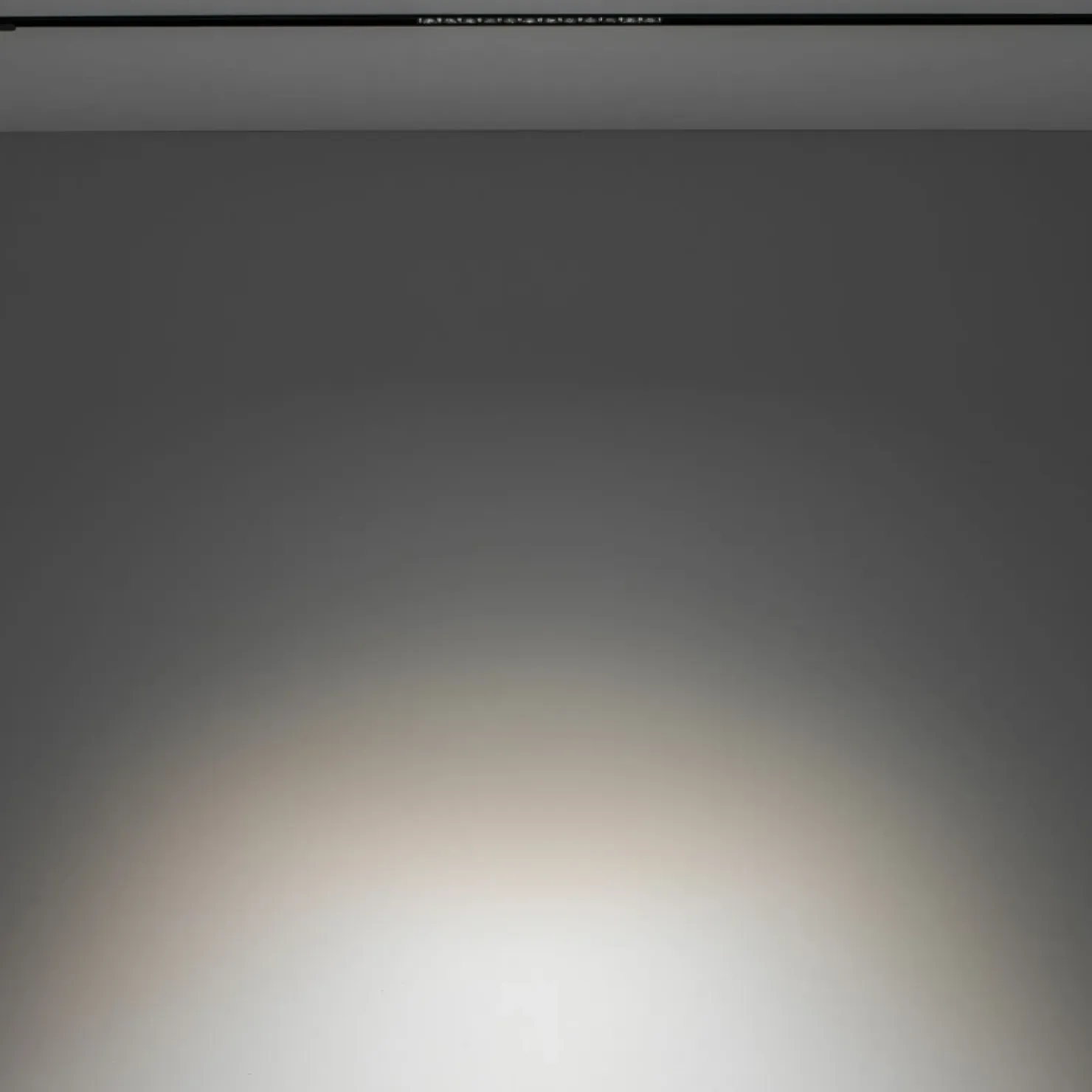 Prosty reflektor do szyny magnetycznej 1F 10644 LVM FOCUS LED | Kaja*Sklep Kaja Cheap