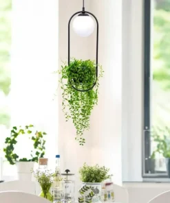Fashion Sklep Kaja Stylowa lampa wisząca z miejscem na doniczkę 5003 z serii PLANT | Kaja